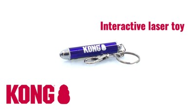 Kong laser pointer outlet battery