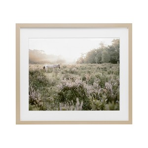 Stupell Industries Misty Sunset Horse Framed Print Under Glass Art - 1 of 4