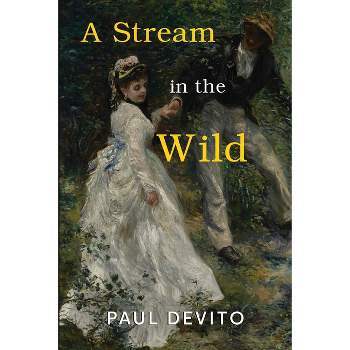 A Stream in the Wild - by  Paul DeVito (Paperback)