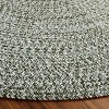 Braided BRA260  Machine Washable UV Resistant Stain Resistant Non-Shedding Hand Woven Indoor/Outdoor Rugs - Safavieh - 3 of 4