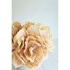 Botanica Stem Spray – 29"L Bendable EVA Foam Floral Accent in Peach, Set of 6 by Kalalou - 2 of 3