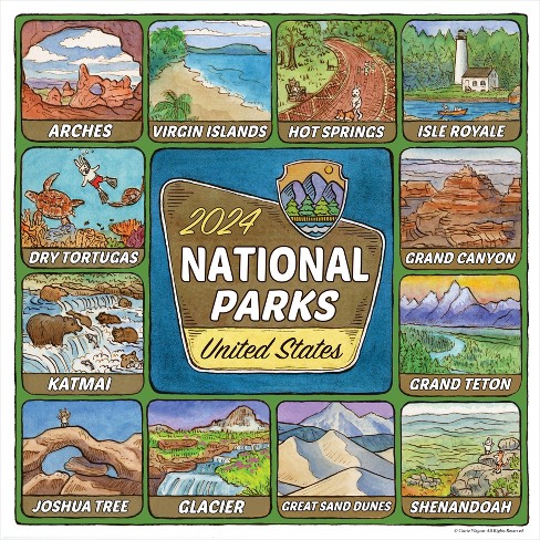 Mlb Washington Nationals 12x 12 2024 Wall Calendar : Target