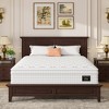 Whisen 14" King Hybrid Mattress, Luxury Ergonomic Mattress, Memory Foam Mattress, Pocket Innerspring - 2 of 4