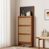 SKRAN Rattan Shoe Cabinet for Entryway, Free Standing Shoe Rack with 3 Flip Drawers & Black Pegboard, Hidden Shoe Cabinet, 24.88"W x 7.88" D x 65"H - 2 of 4