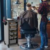 Salon Trolley, Storage Trolley, Stylist'S Equipment Storage Trolley, Hairdryer Holder, 6 Extra Storage Trays and Free Combination Tool, 1 Stand - 2 of 4
