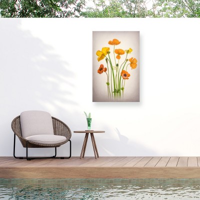 Trademark Fine Art - Lydia Jacobs Delightful Poppies Matted Framed Art