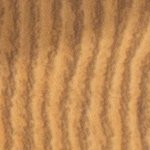 wood grain