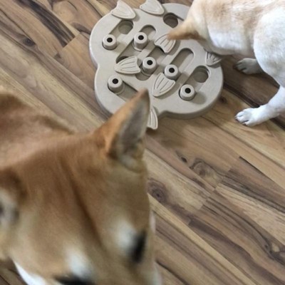 Outward Hound Challenge Slider Puzzle Toy — Jeffrey's Natural Pet Foods