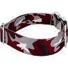 Country Brook Petz HossFit Jr Wide Premium Dog Collar - Sports and Athletics Collection - 3 of 4