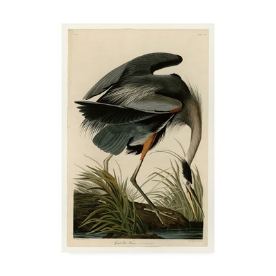 Great Blue Heron Giclee Print on Canvas with Floater Frame