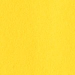 vibrant sun