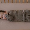 embe 0-3mo Long Sleeve Swaddle Sack, Arms-In/Arms-Out, Legs-In/Legs-Out - 4 of 4