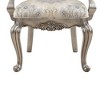 23.25" Ariadne Dining Chair Velvet & Antique Platinum Finish - Acme Furniture - 4 of 4