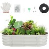 6x3x1ft Galvanized Raised Garden Bed Kit, Oval Raised Beds with Open-Ended Base, Metal Planter Box for Vegetables, Flowers, Herbs & Fruits - 2 of 4