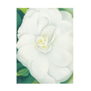 Trademark Fine Art -Georgia O'Keefe 'White Camelia' Canvas Art - 1 of 4