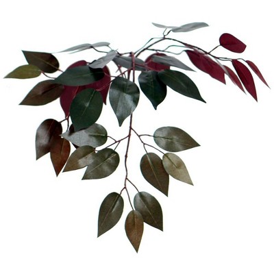Elegant 4' Silk Capensia Floor Plant in Sleek Black Pot