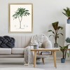 Stupell Industries Vintage Palm Study Floating Frame Canvas Art - 3 of 4