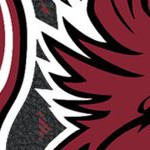 south carolina gamecocks