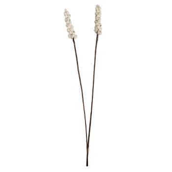 Vickerman Natural Botanicals 24" Natural Dried Sola Berries Stick- 24 sticks/polybag. It includes twenty-four pieces per bag. This item is a natural