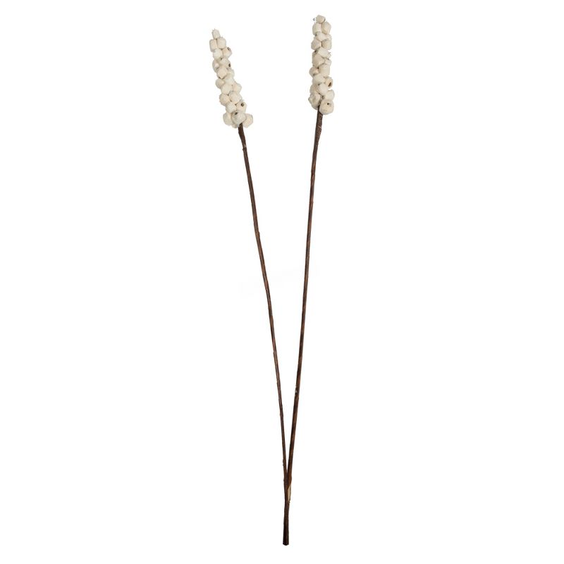 Vickerman Natural Botanicals 24" Natural Dried Sola Berries Stick- 24 sticks/polybag. It includes twenty-four pieces per bag. This item is a natural, 1 of 4