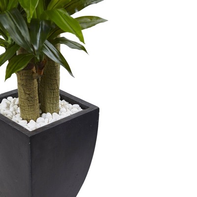 5.5ft Green Artificial Corn Stalk Dracaena with Black Planter