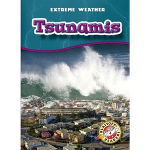 Tsunamis - (Extreme Weather) by  Anne Wendorff (Paperback) - 1 of 1