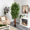 Nearly Natural 7.5-ft Super Deluxe Ficus Tree - 3 of 4