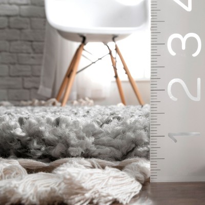 Contemporary Gray 4' x 6' Braided Shag Area Rug