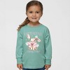 The Juniper Shop Coquette Cottontail Bunny Club Toddler Long Sleeve Tee - 3 of 4