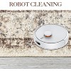 Traditional Printed Area Rug Low Pile Home Aesthetic Decor Doormat Non Slip Non Shedding Mat Throw Rug Stain Resistant Thin Bordered Carpet - 4 of 4