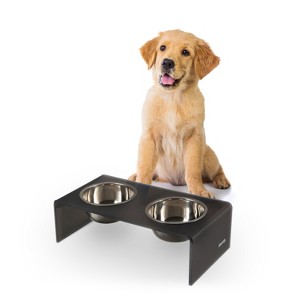 THE LICKER STORE Keaton Modern Acrylic Rectangular Elevated Pet Feeder - 1 of 4