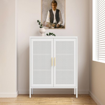 SKRAN Metal Storage Cabinet, Multi-Purpose Steel Cabinets with Doors and  Adjustable Shelves for Home, Office, and School