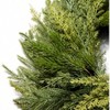 24 Inch Real Norfolk Pine Cedar Wreath Winter Indoor Outdoor Porch Wall Realistic Artificial Home Decor - 3 of 4