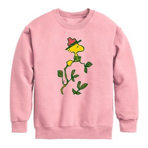Boys' - Peanuts - Woodstock Branch Graphic Long Sleeve Fleece Sweatshirt - 1 of 4