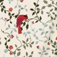 classic red cardinals