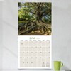 TF Publishing 13.5"x14.5" 2026 Trees Wall Calendar - 3 of 4