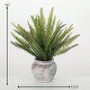 Sullivans Artificial 16" Rustic Potted Fern Bush, Green - 4 of 4