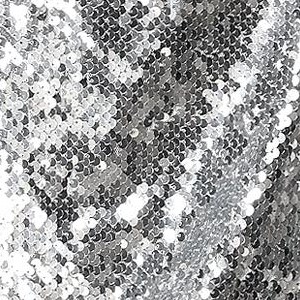 silver/holographic