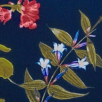 deep sea multi garden floral