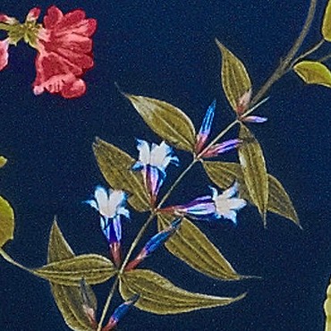 deep sea multi garden floral
