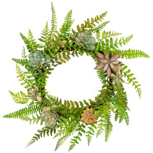 Northlight Succulents and Foliage Artificial Spring Twig Wreath, Green - 22-Inch - 1 of 4