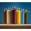 Epica 18oz Glass Bottles with Lids Reusable & Durable Juice and Water Bottles Eco-Friendly 6-Pack with Carrying Loop Caps - 3 of 4