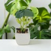 Unique Bargains Artificial Plants Ceramic Pot 2.01"x2.01"x5.51" 1 Pc - 2 of 4
