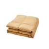 Beautyrest Microfiber Feather and Down Blend All Season Comforter - 2 of 4