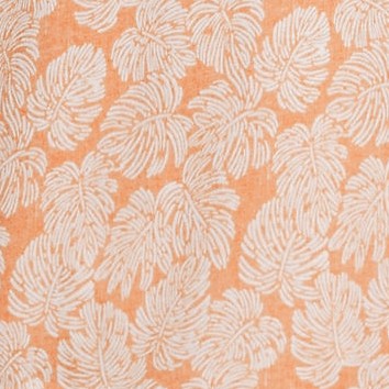 orange mist palm leaves