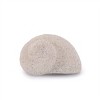 Sea Shell Filler Décor (Set of 12) - 4 of 4
