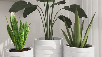 Set of 3 White Fiber Clay Etched Planters with Wooden Tripod Stand
