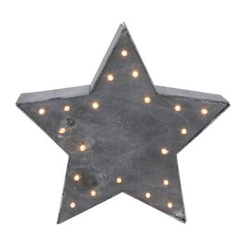 Northlight 9.75" Lighted Gray 5 Point Star Christmas Decoration