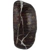 Kretschmar Extra Lean Black Forest Brand Ham - Deli Fresh Sliced - price per lb - 2 of 4