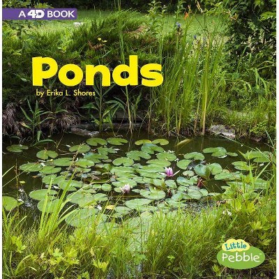 Ponds - (Bodies of Water) by  Erika L Shores (Paperback)